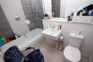 Photo 10- click for photo gallery